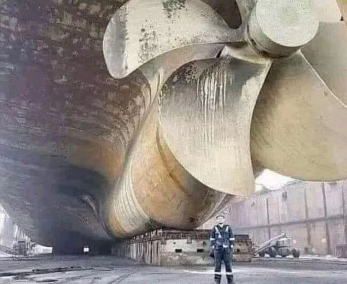 Joseph MICACCIA - Expert